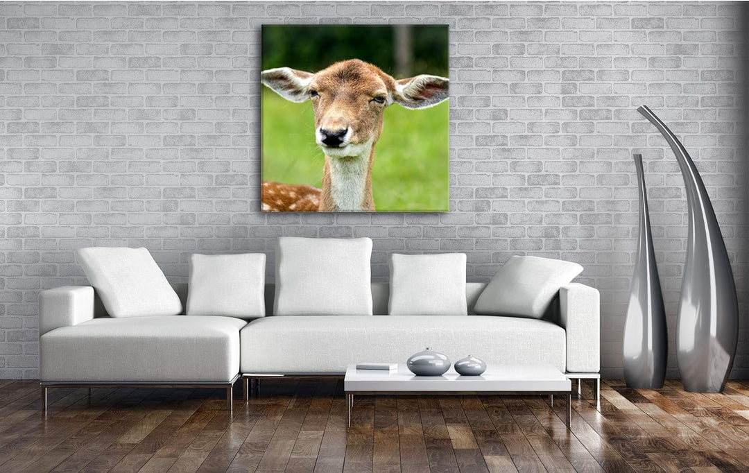 deyoli Anmutiger Hirsch Format: 60x60 als Leinwandbild, Motiv fertig gerahmt auf Echtholzrahmen, Hoc