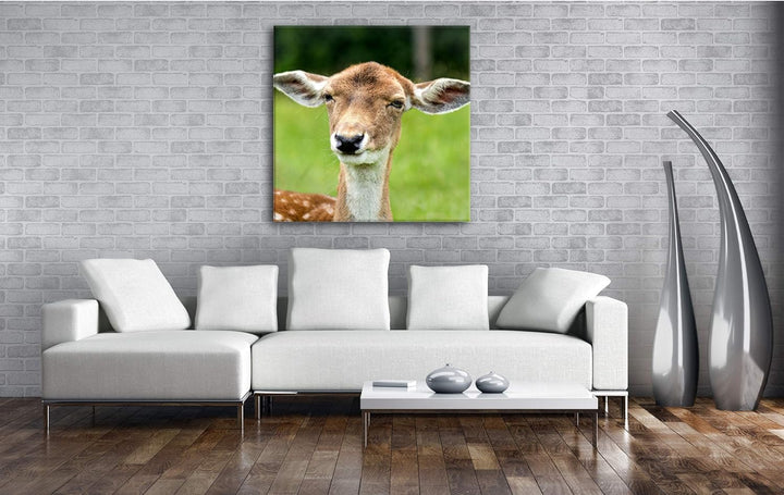 deyoli Anmutiger Hirsch Format: 60x60 als Leinwandbild, Motiv fertig gerahmt auf Echtholzrahmen, Hoc
