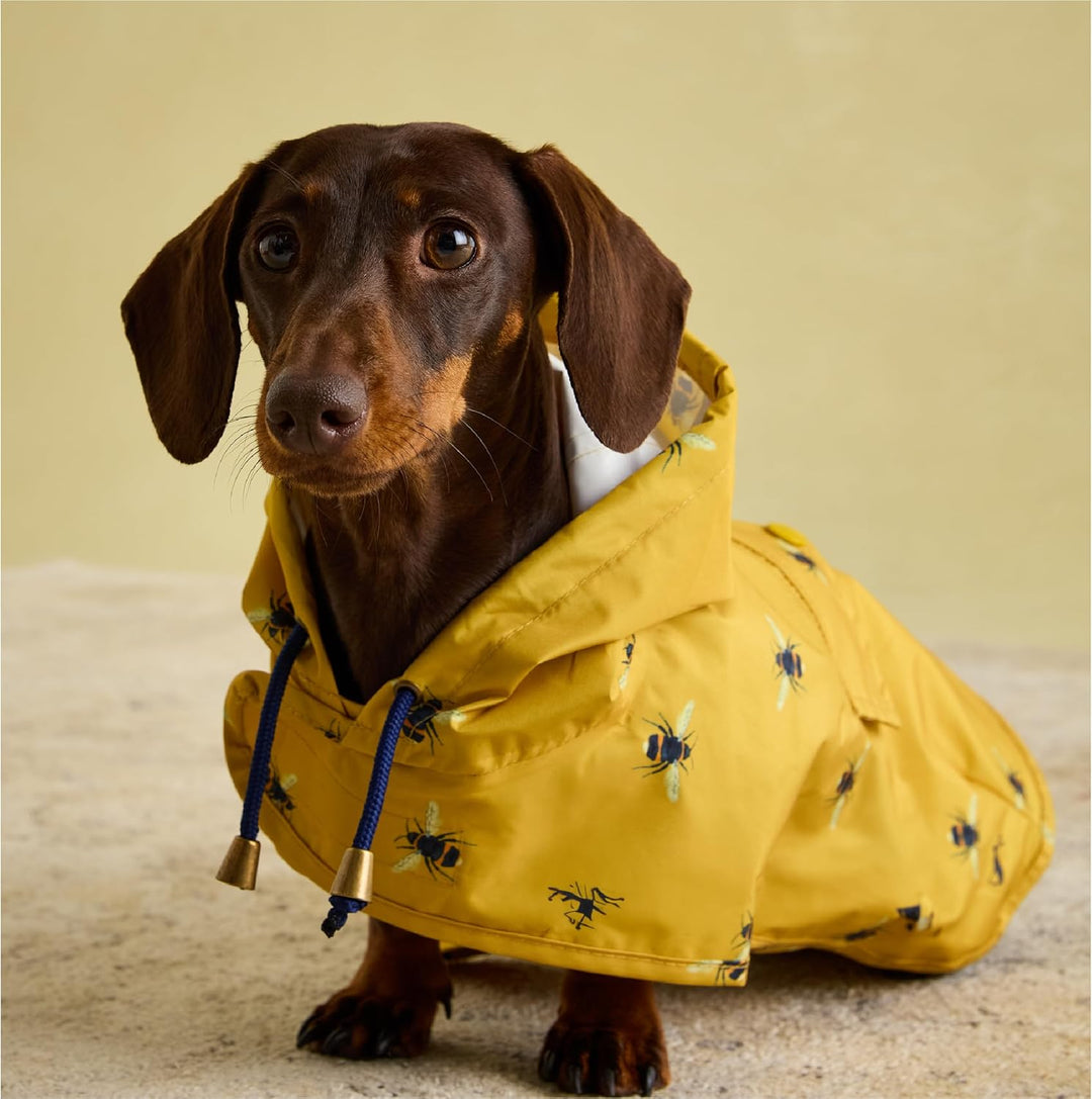 Rosewood Joules Go Lightly Packaway Jacke für Hunde, Grösse S Small, Small