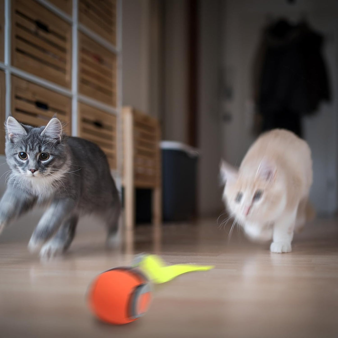 Speedy Tail 2.0, Speedy Tail Katzenspielzeug, interaktiver spielball für Katzen, Automatisches Katze