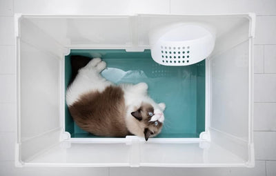PeTraum Grosses Katzenklo XXL mit Luftfilter, Geschlossene Katzentoilette XXL für Grosse Katzen, ‎69