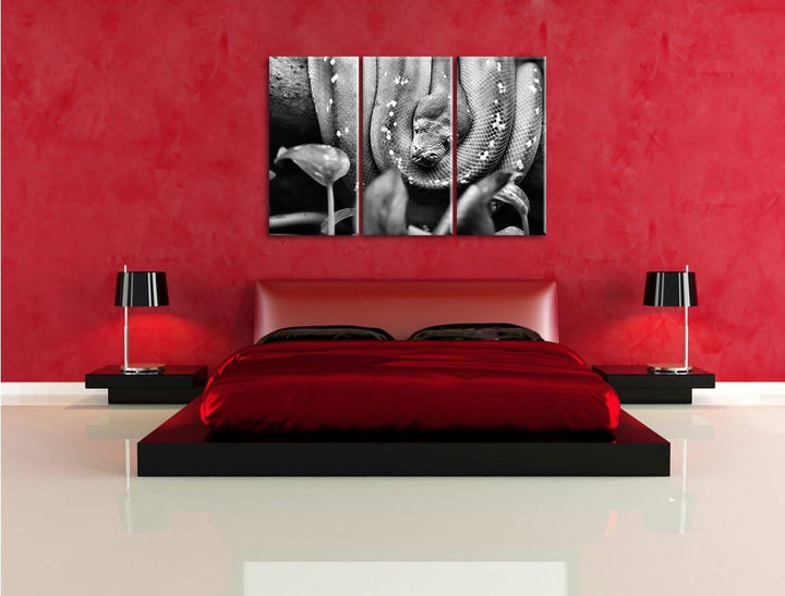 Pixxprint Grüne Schlange, gelbe Augen, als Leinwandbild/Grösse: 3 Teilig (120x80) cm/Wandbild/Kunstd