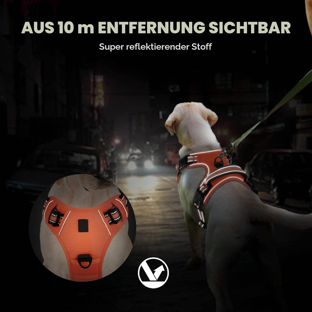 Hundegeschirr No-Pull für Kleine, Grosse und Mittelgrosse Hunde - Weich, Atmungsaktiv, Einstellbar,