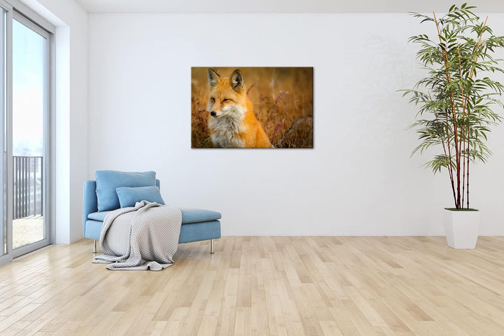 deyoli ruhiger Fuchs Format:75x50 cm als Leinwandbild, Motiv fertig gerahmt auf Echtholzrahmen, Hoch