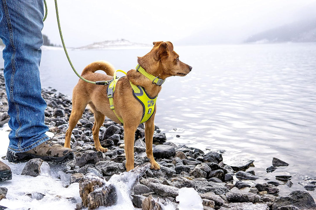 Hurtta Weekend Warrior Hundegeschirr für Grosse Hunde, Neon Gelb 80-100 cm Neon Lemon 32-39 in, Neon