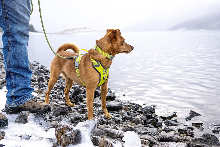 Hurtta Weekend Warrior Hundegeschirr, Neon Lemon, 40,6–45,7 cm Neon-Zitrone 16-18 in, Neon-Zitrone 1