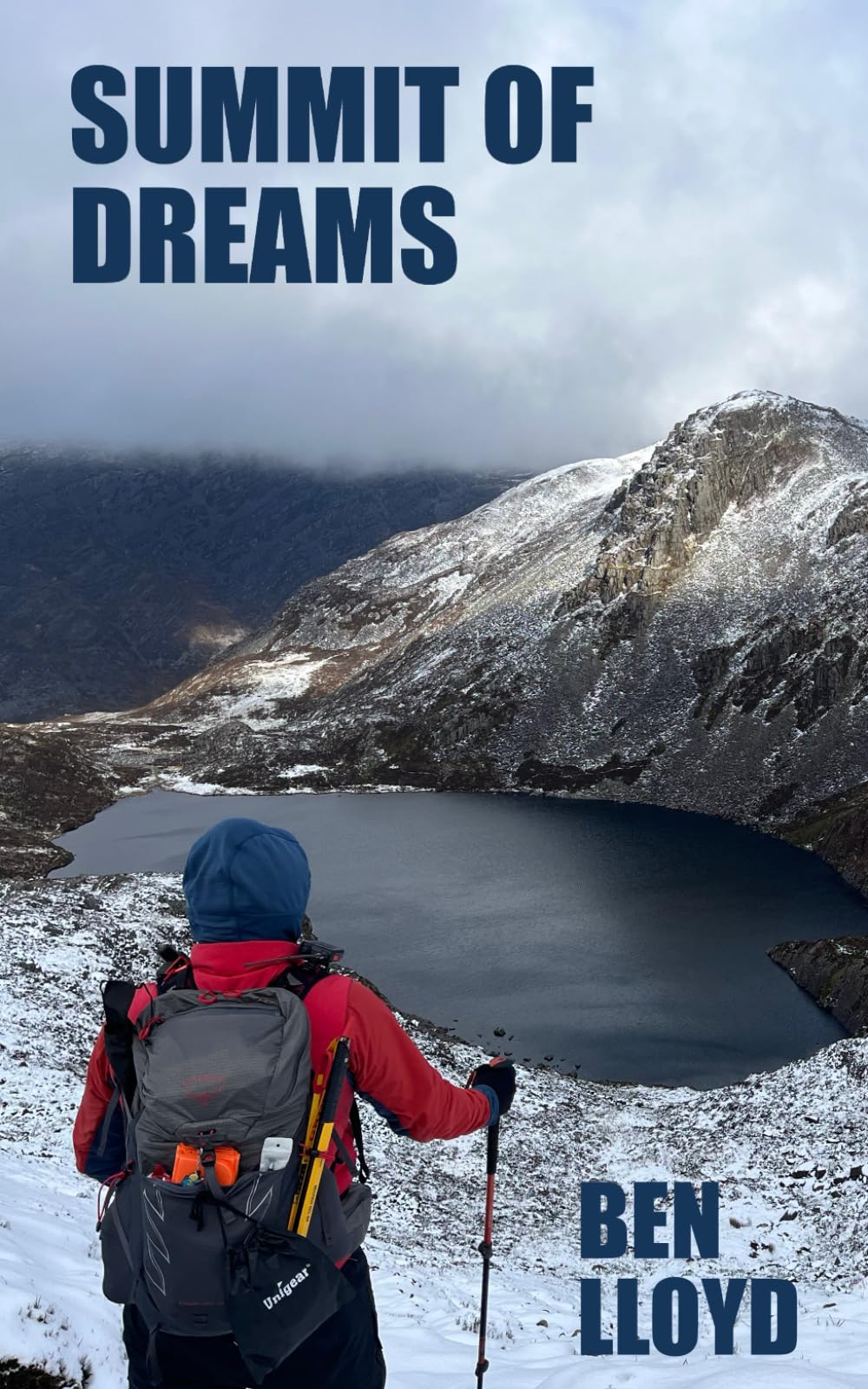 Summit of Dreams, Taschenbuch