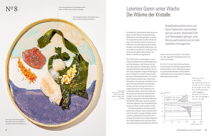 Noch mehr kochen für Angeber - Kochbuch von Stiftung Warentest - mit 50 neuen kulinarischen Effekten