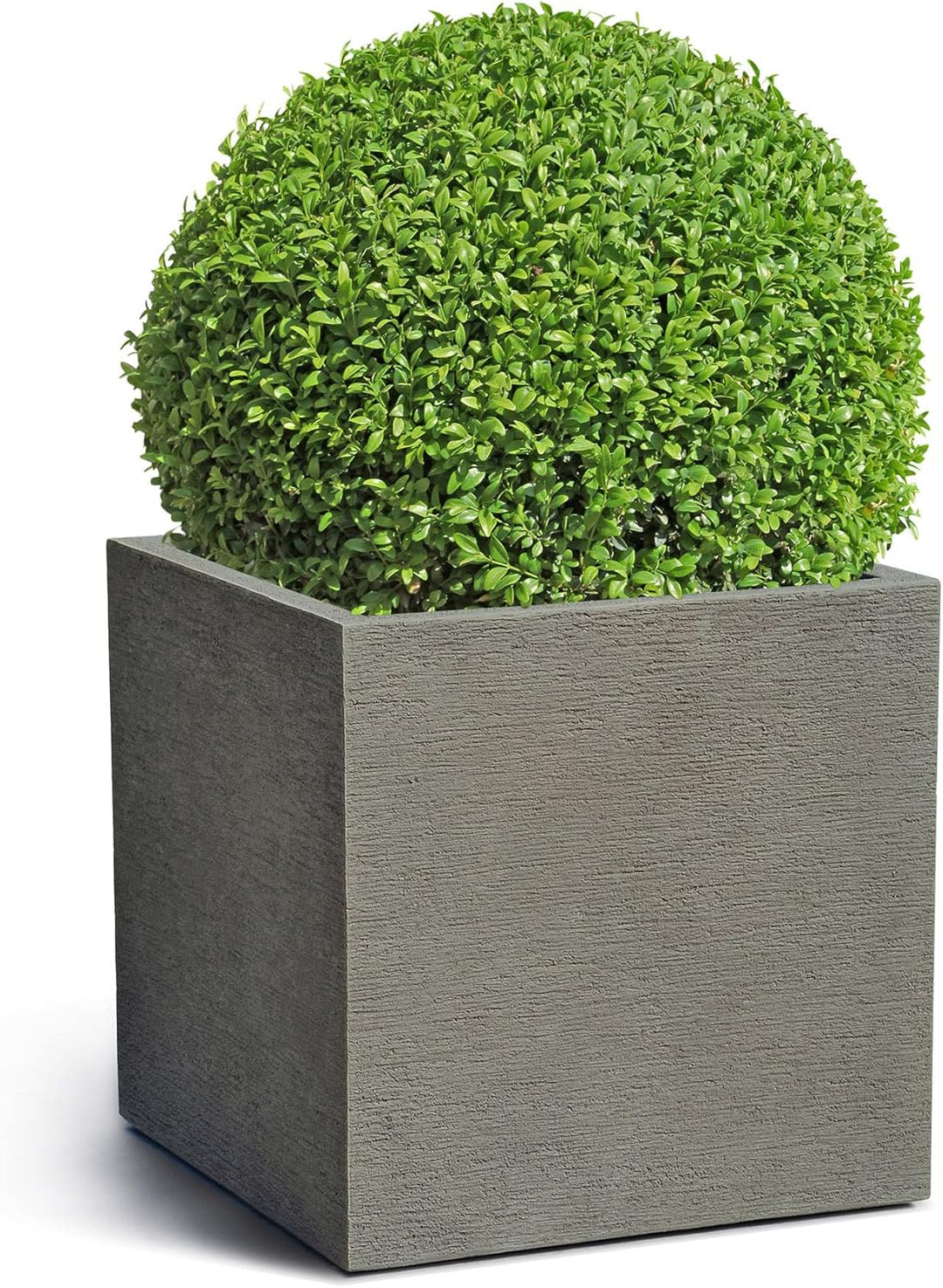 ESCHBACH® Pflanzkübel Cube 50 Macchiato Grau Quadratisch * 50 x 50 x 50 cm * 10 Jahre Garantie 50x50