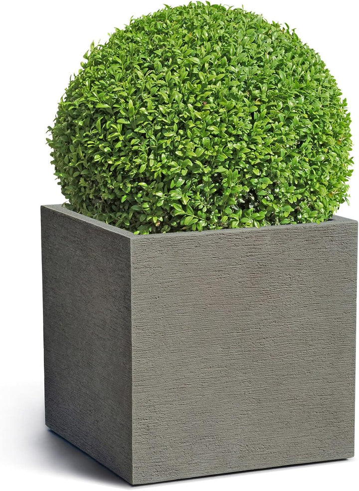 ESCHBACH® Pflanzkübel Cube 50 Macchiato Grau Quadratisch * 50 x 50 x 50 cm * 10 Jahre Garantie 50x50