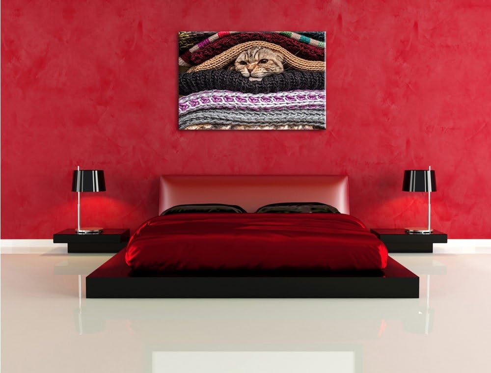 Kuschel Kätzchen zwischen Pullovern Format: 100x70 auf Leinwand, XXL riesige Bilder fertig gerahmt m