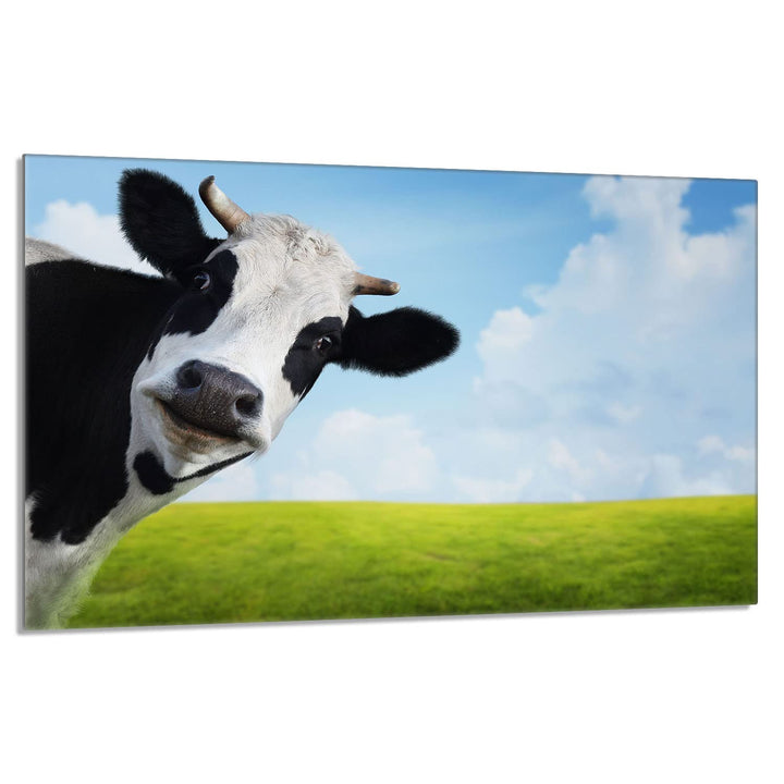 Herdabdeckplatte 80x52 cm 1-teilig Ceranfeldabdeckung Induktion Herdschutz Spritzschutz Glasplatte D