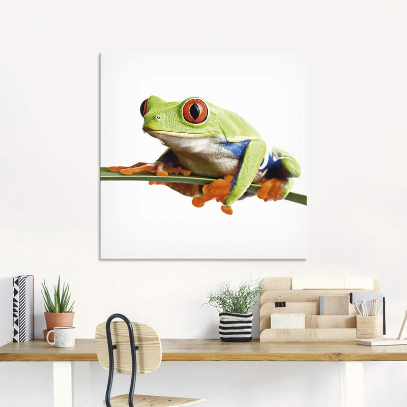 ARTland Glasbilder Wandbild Glas Bild einteilig 60x30 cm Querformat Natur Tiere Frosch Laubfrosch Bl