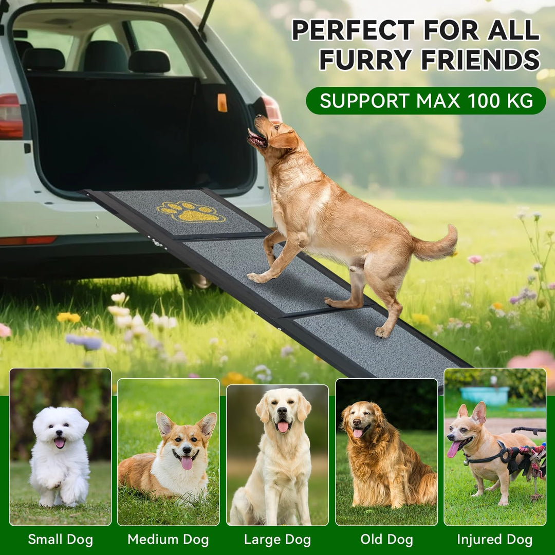 Hunderampe Auto Klappbar 170 x 50 cm Grau, mit Rutschfester Teppichoberfläche, bis 70 kg, Leicht Alu