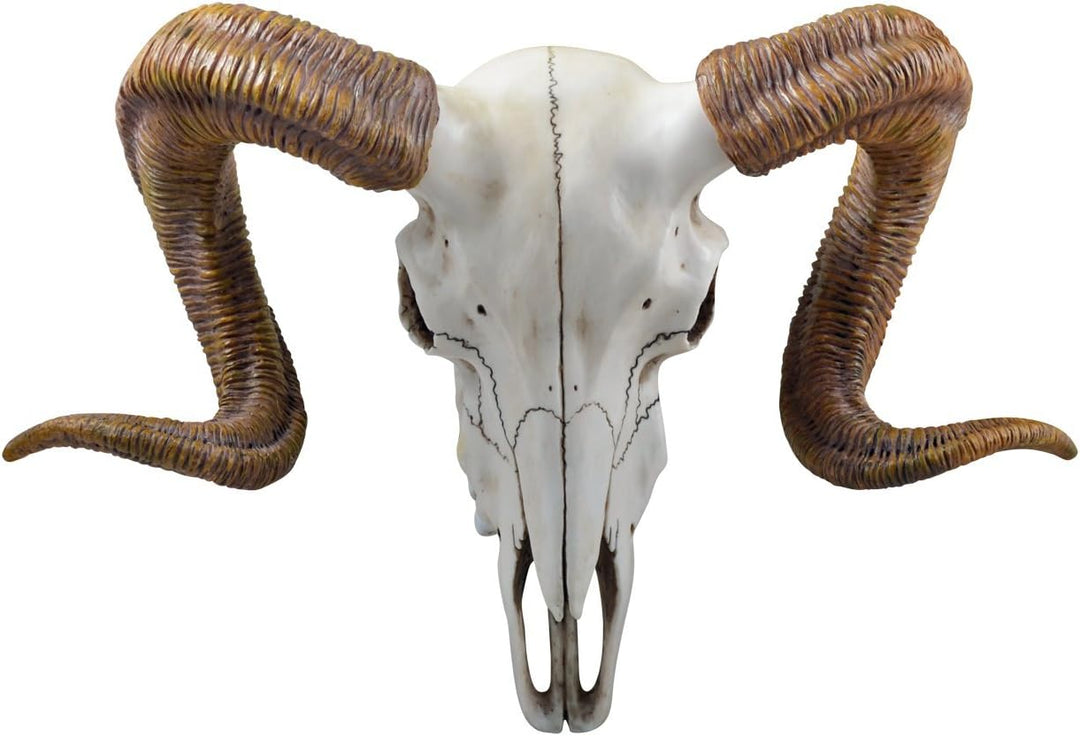 Veronese Design Widderschädel Widder Hörner Geweih verziert aus Kunststein 34 cm