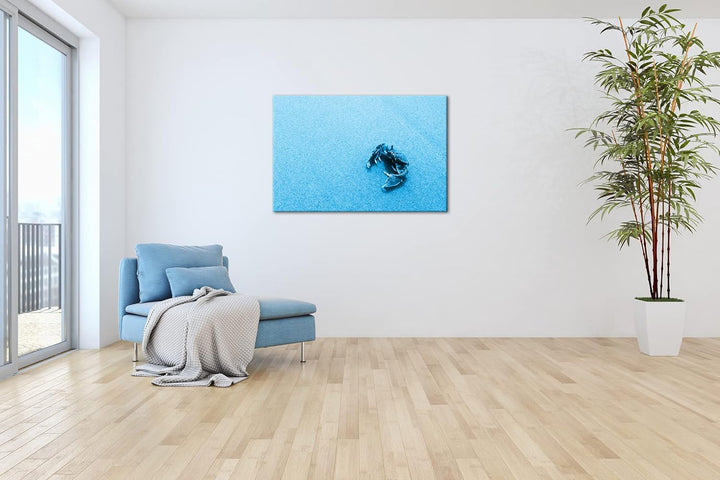 deyoli rote Krabbe im Sand Format 80x60 Effekt: Monocrome Blau als Leinwandbild, Motiv fertig gerahm