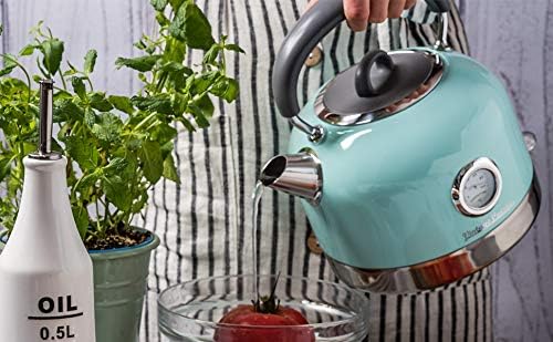 Retro Electric Kettle with Temperature Gauge by Vintage Cuisine (Mint)