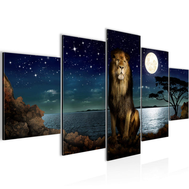 Runa Art Wandbilder Afrika Löwe 5 Teilig Bild auf Vlies Leinwand Deko Wohnzimmer Schlafzimmer Nachth