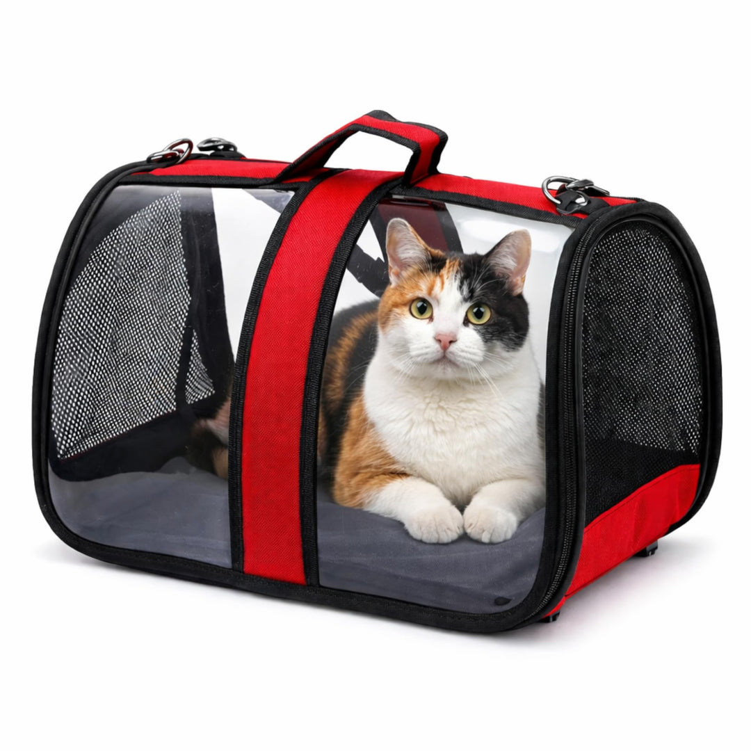 Blue Eyes Transportbox Katze Hund Faltbare Katzentransportbox Transparent Transporttasche für Hausti