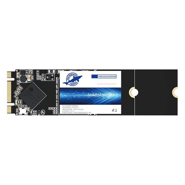 Dogfish SSD M.2 2280 500 GB Ngff Internes Solid State Drive Hochleistungsfestplatte für Desktop-Lapt