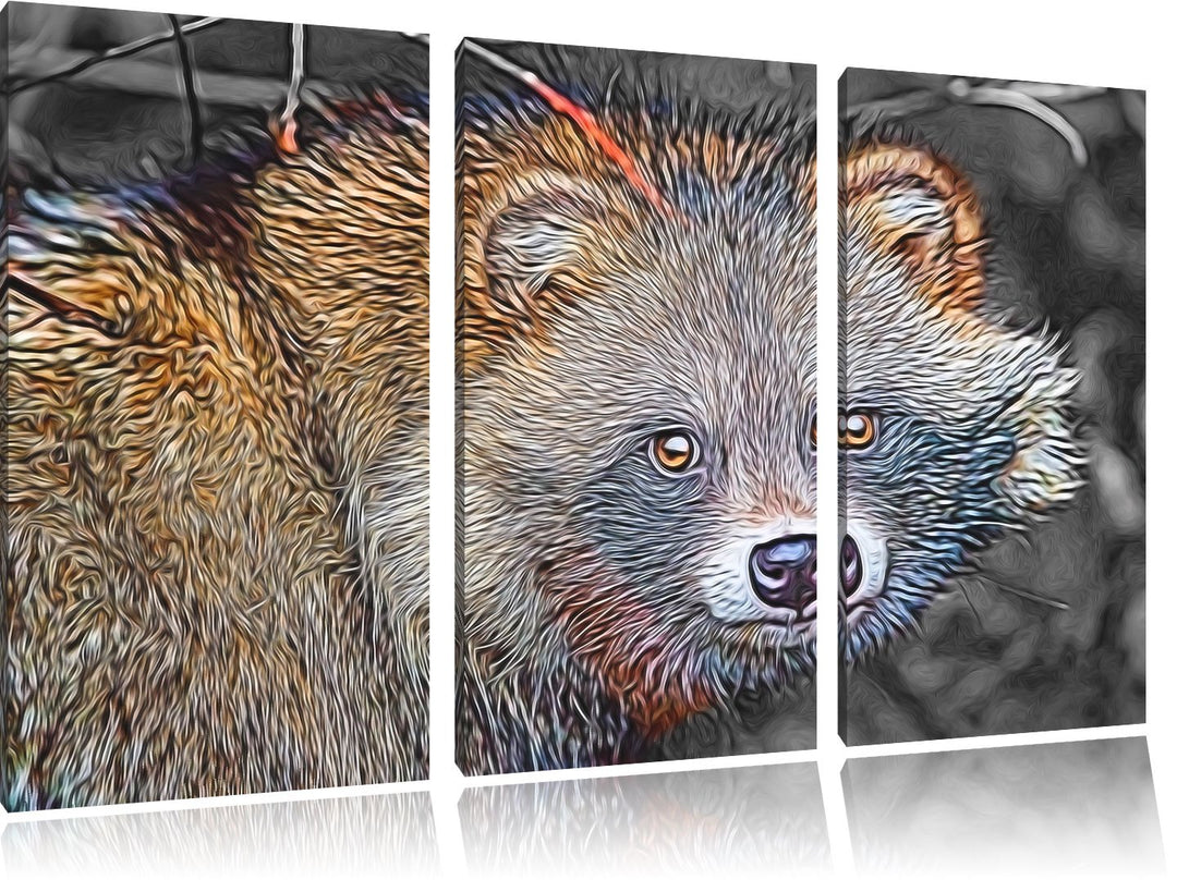 süsser Waschbär schwarz/weiss Deluxe 3-Teiler Leinwandbild 120x80 Bild auf Leinwand, XXL riesige Bil