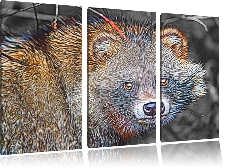 süsser Waschbär schwarz/weiss Deluxe 3-Teiler Leinwandbild 120x80 Bild auf Leinwand, XXL riesige Bil