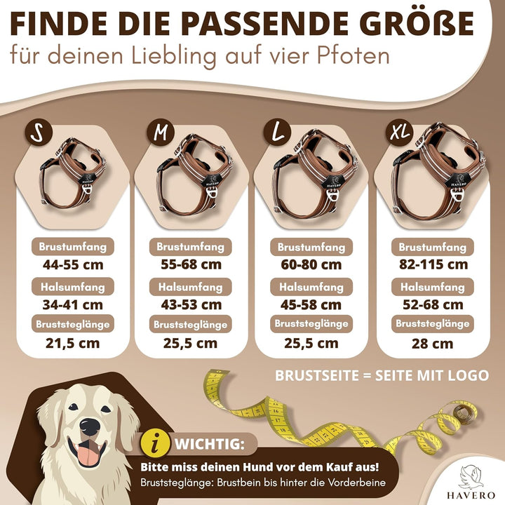 Hundegeschirr Easy-On-Clip – [Kein Überkopfziehen] | Anti-Zug Y-Geschirr Gepolstert Reflektierend At