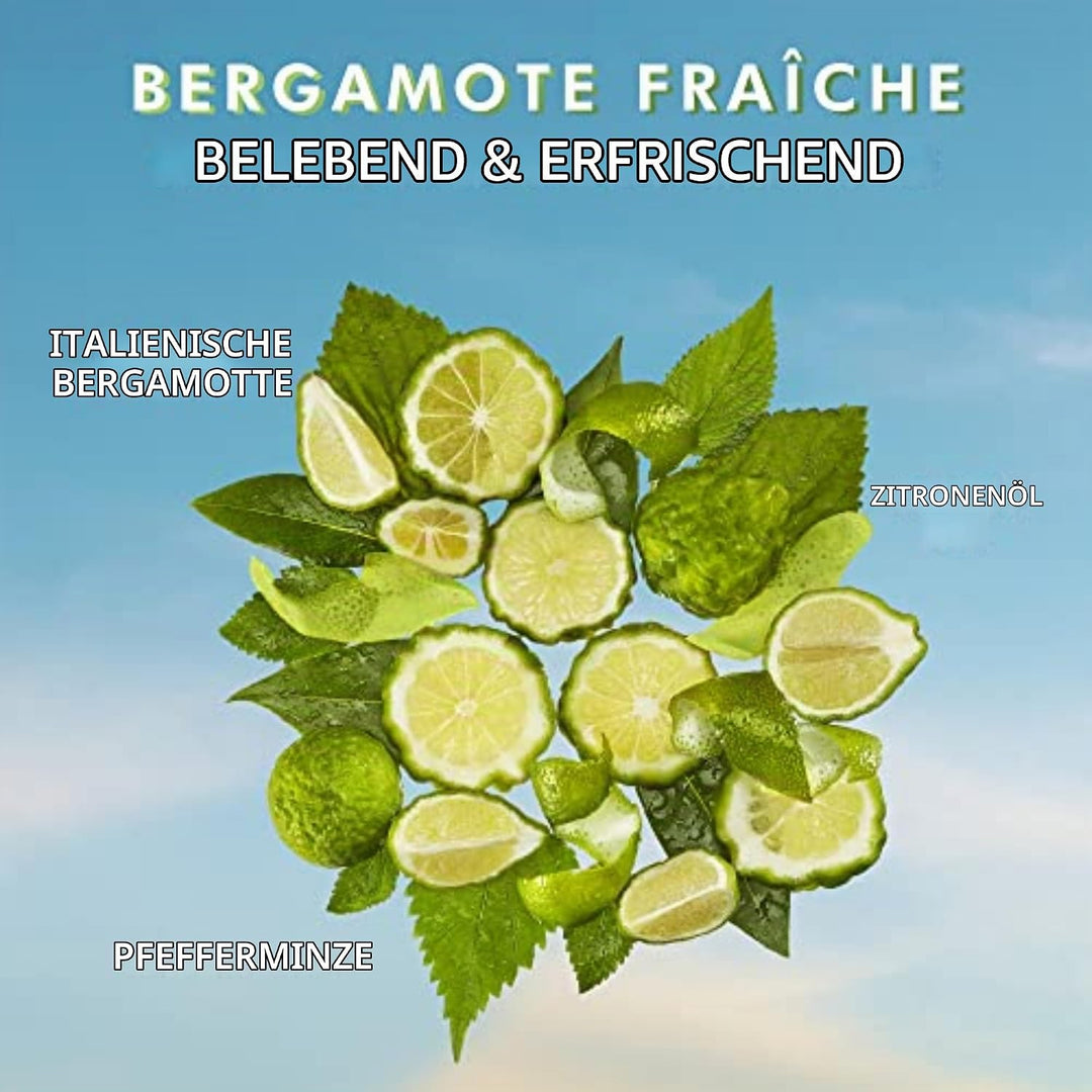 Moroccanoil Körperlotion Bergamote Fraiche, Bergamote Fraiche