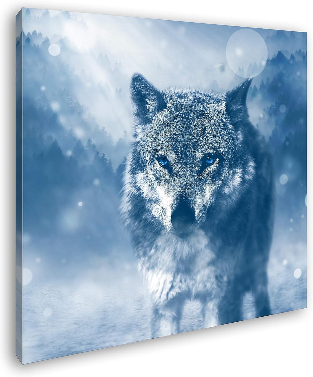 deyoli Stolzer Wolf Format: 70x70 als Leinwand, Motiv fertig gerahmt auf Echtholzrahmen, Hochwertige