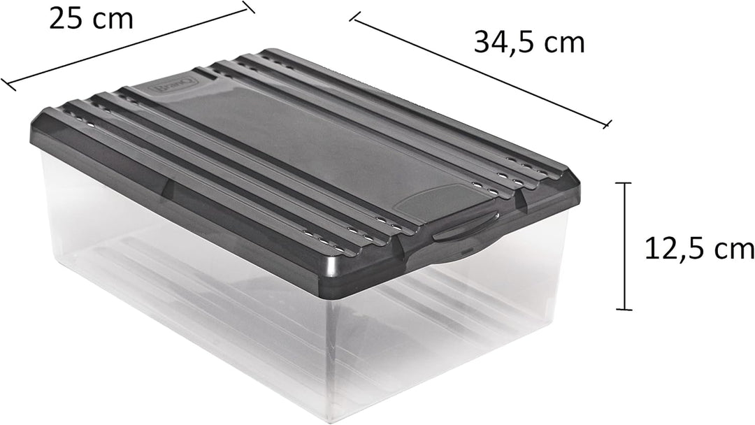 BranQ - Home essential Schuhbox Shoe Box mit Belüftungshaltelöcher und Deckel Kunststoff, 8l, Set vo