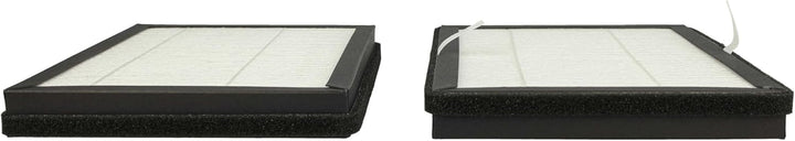 vhbw 2x Partikelfilter kompatibel mit Rowenta Eclipse QU5030, QU5072, QU5060, QU5062 Luftreiniger, L