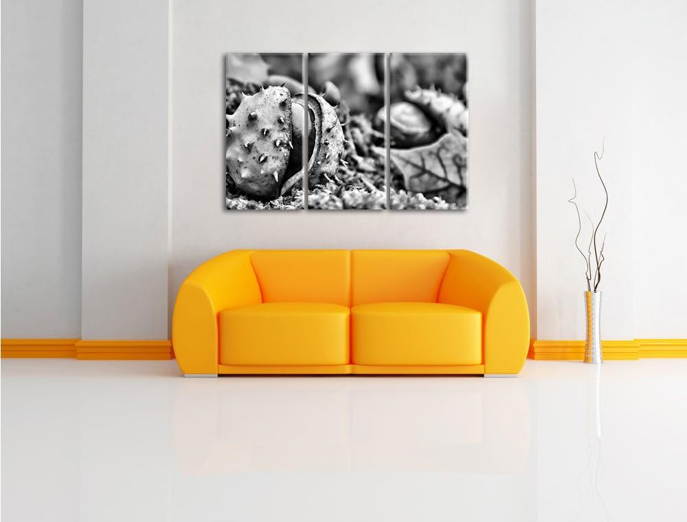 Pixxprint Monocrome, Erste Kastanie öffnet Sich 3-Teiler Leinwandbild 120x80 Bild auf Leinwand