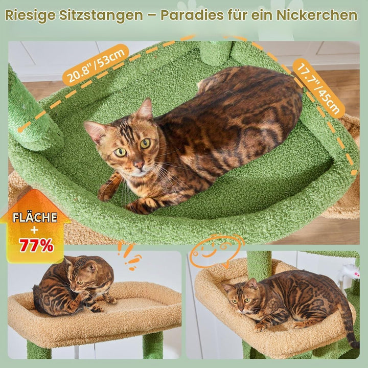 Taoqimiao 180CM Kratzbaum Gross XXL, Katzenbaum Grosse Katzen Stabil kratzbaum Maine Coon mit Katzen