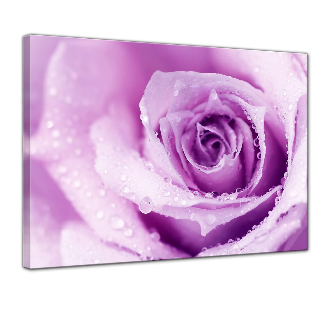 Bilderdepot24 Bild auf Leinwand | Lila Rose mit Tropfen II in 60x50 cm als Wandbild | Wand-deko Deko