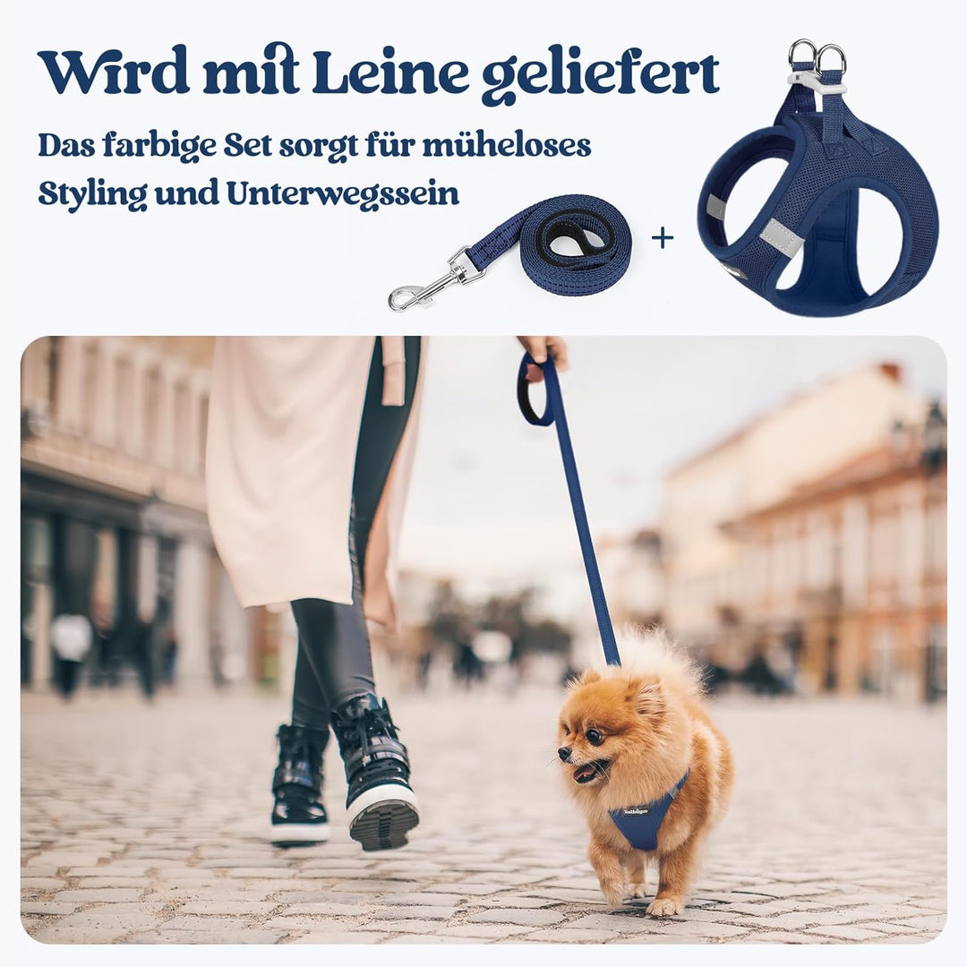 rabbitgoo Hundegeschirr Kleine Hunde mit Leine, Step-in Welpengeschirr Weich Mesh für Spaziergänge,