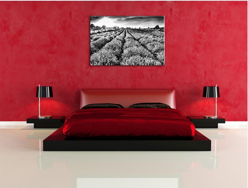 Pixxprint Monocrome, Lavendelfeld Provence, Format: 100x70 auf Leinwand, 100x70