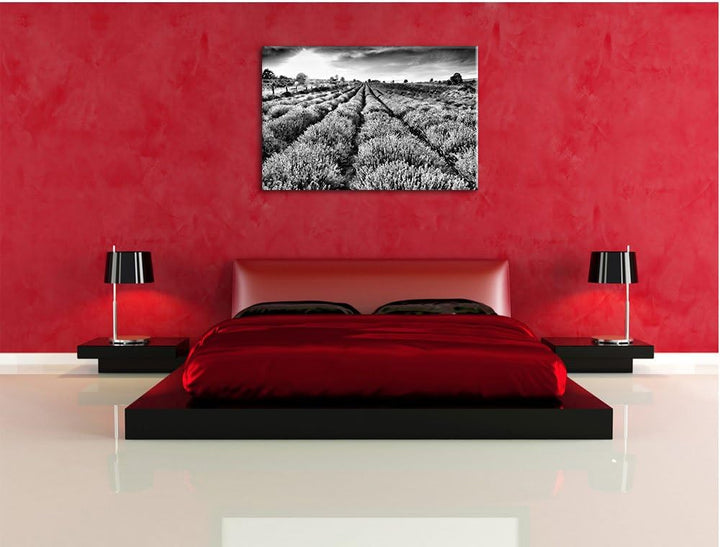 Pixxprint Monocrome, Lavendelfeld Provence, Format: 100x70 auf Leinwand, 100x70