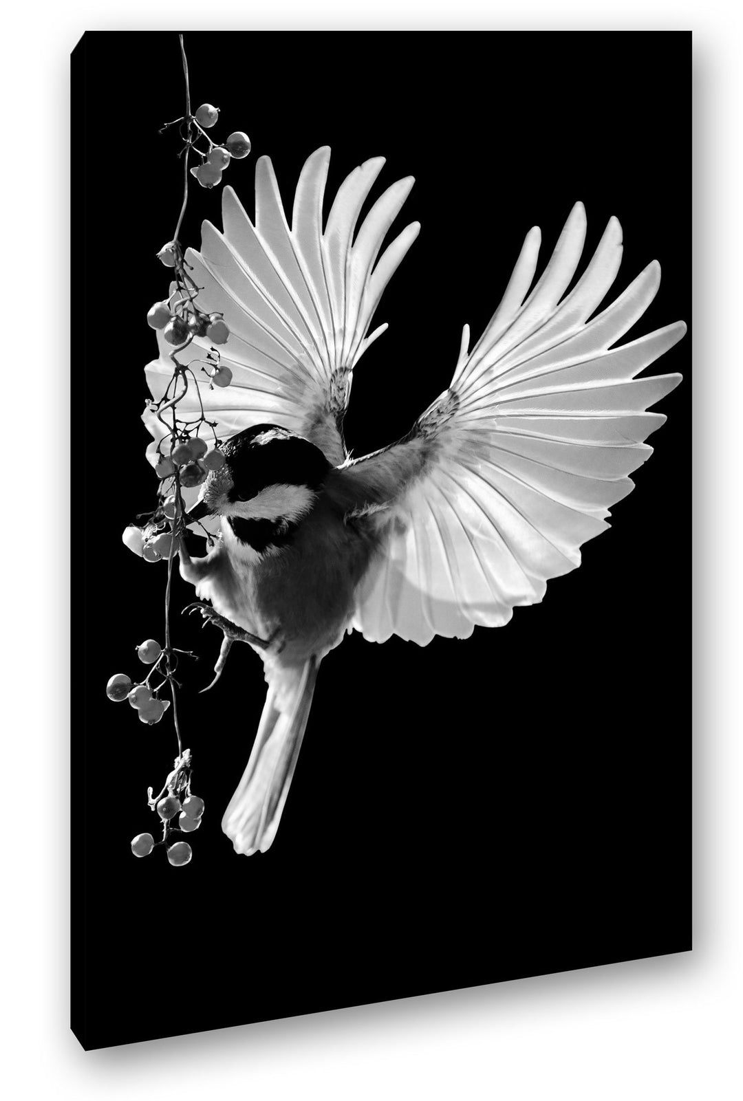 deyoli Dark traumhafter Vogel mit ausgestreckten Flügeln Effekt: Schwarz/Weiss Format: 80x60 als Lei
