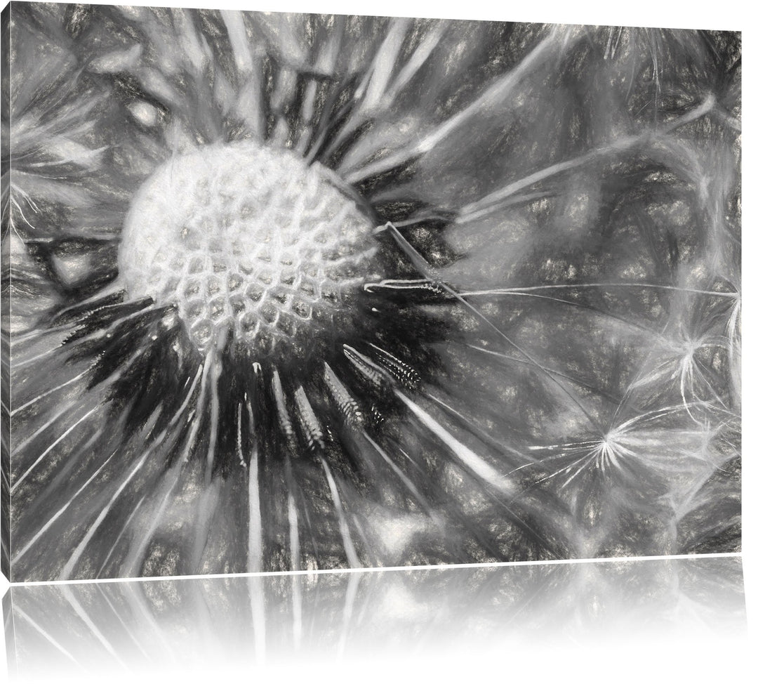 Pusteblume Kohle Effekt, Format: 100x70 auf Leinwand, XXL riesige Bilder fertig gerahmt mit Keilrahm