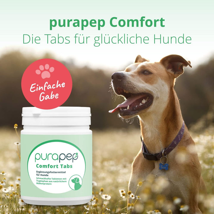 purapep Comfort Hunde Tabs - Natürliches Beruhigungsmittel mit Tryptophan, Magnesium und B-Vitaminen