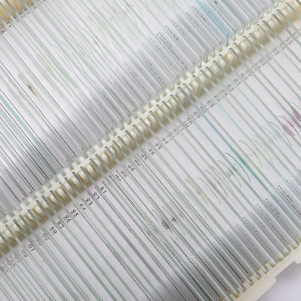 25PCS Vorbereitete Mikroskop-Objektträger-Set, Mikroskop-Objektträger mit hölzerner Dia-Aufbewahrung