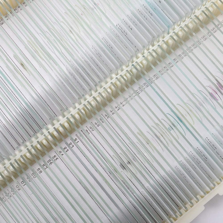 25PCS Vorbereitete Mikroskop-Objektträger-Set, Mikroskop-Objektträger mit hölzerner Dia-Aufbewahrung