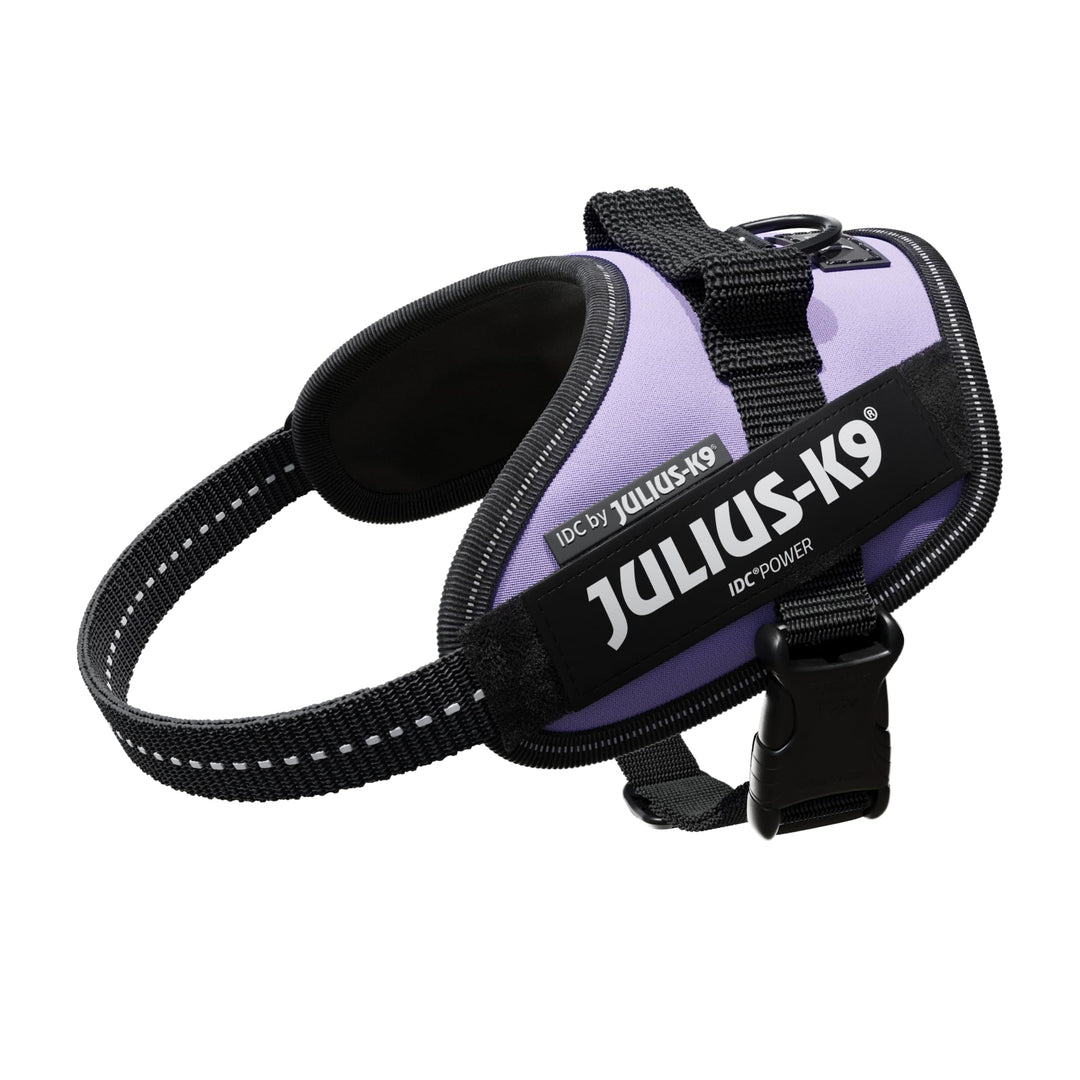IDC Powergeschirr, Grösse: XS/Mini-Mini, Violett Violett XS/Mini-Mini, Violett XS/Mini-Mini