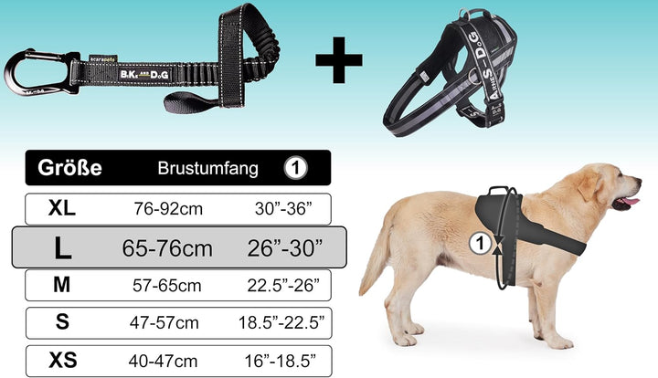 BIKE AND DOG - Hundeleine und Hundegeschirr für das Fahrrad, Geschirr mit 3 Ringen, Davon 2 seitlich
