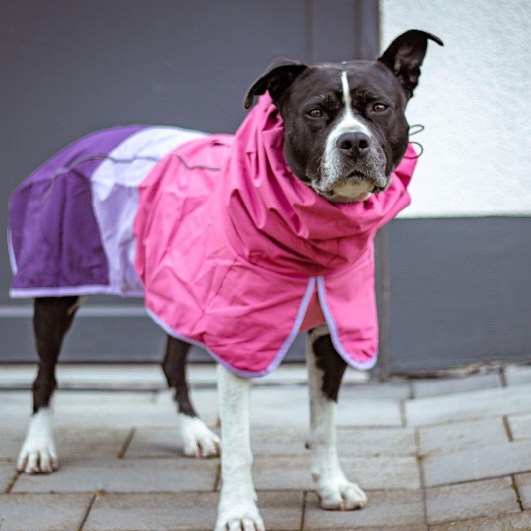 Spark Paws Hunderegenmantel, wasserdichte, Winddichte Regenjacke, für kleine, mittelgrosse, grosse u