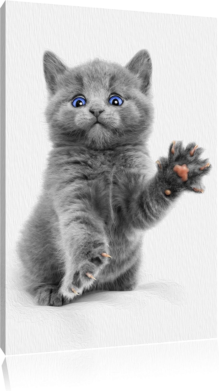 süsse kleine russisch Blau schwarz/weiss Format: 100x70 auf Leinwand, XXL riesige Bilder fertig gera