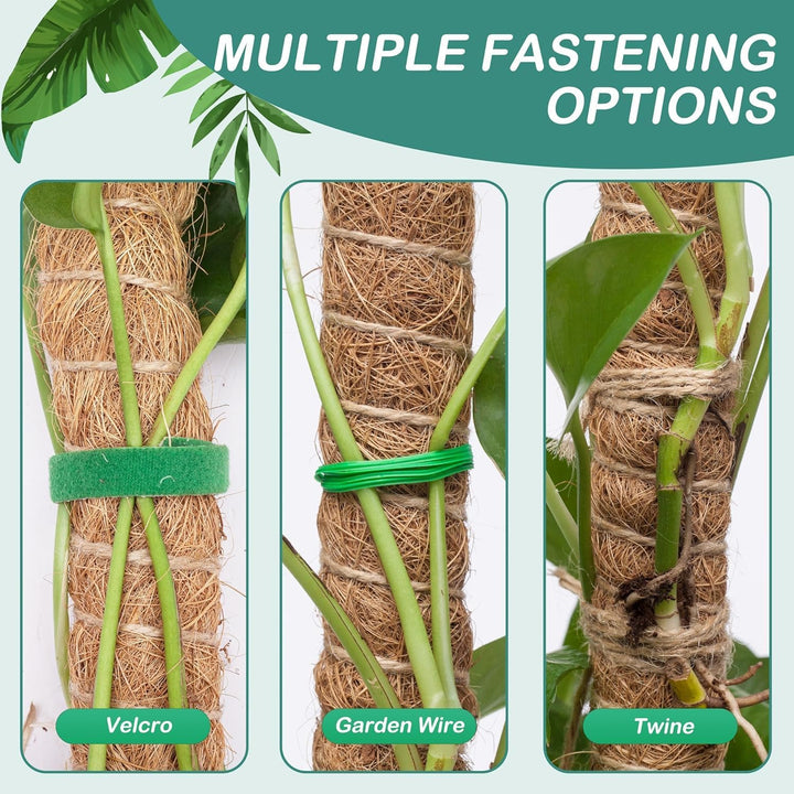 RYHX 4er Set 65cm Biegbare Monstera Rankhilfe, Moosstab und Pflanzstab für Zimmerpflanzen 4×65CM, 4×