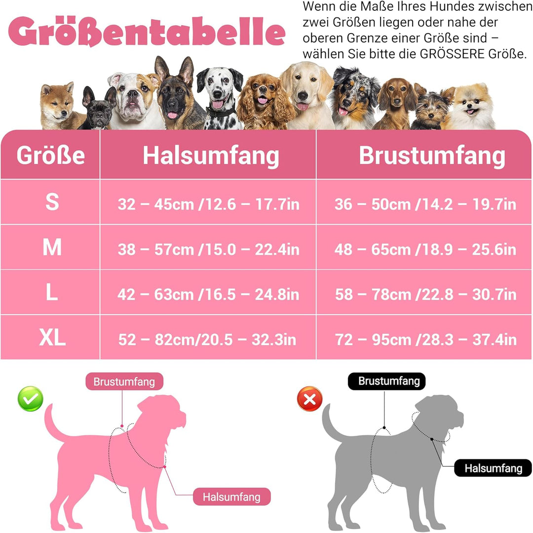 Funfox Hundegeschirr Kleine Hunde [S] - Anti Zug Welpengeschirr mit Griff &amp; Ringreflektoren, Atmungs