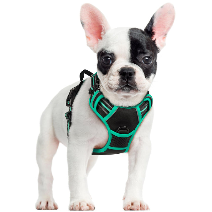 rabbitgoo Hundegeschirr Mittelgrosse Hunde, Anti Zug Geschirr mit Kontrolle, No Pull Verstellbar Hun