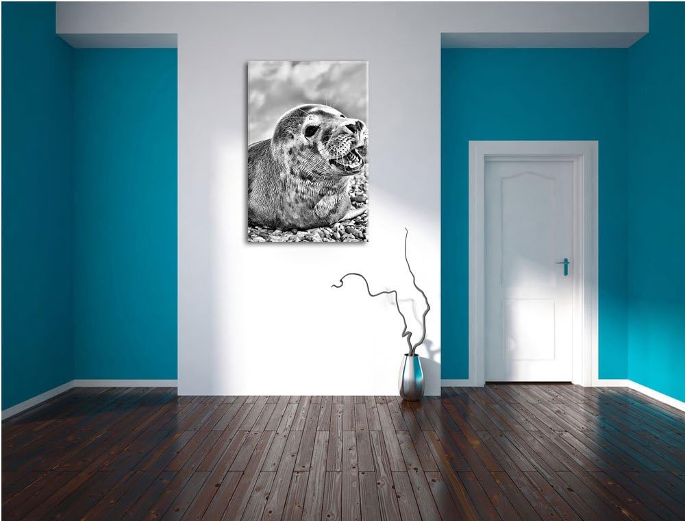 Pixxprint Süsse Robbe auf Steinstrand / 100x70cm Leinwandbild bespannt auf Holzrahmen/Wandbild Kunst